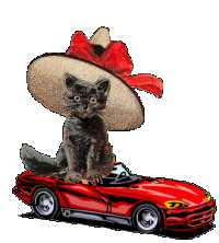 Concours d'�l�gance !